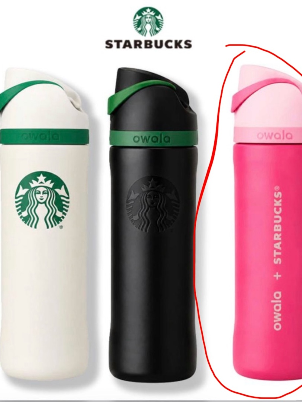Starbucks Pink Ombre Insulated Water Bottle